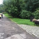 Wycieczka do kopalnii Guido